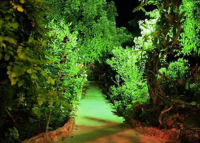 ゲストハウス Alpha Stegna Sun